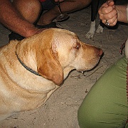 Picture 023